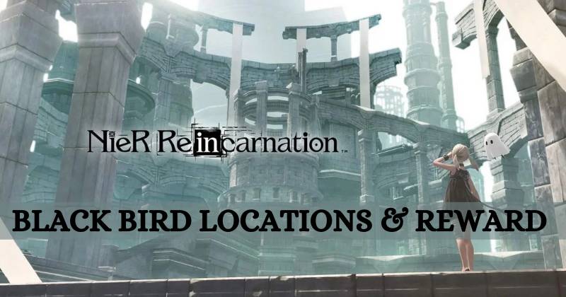 Nier Reincarnation Black Bird Locations and Reward List