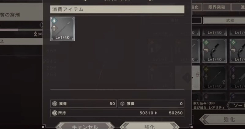 Nier Reincarnation Complete Gold and Stamina Tips