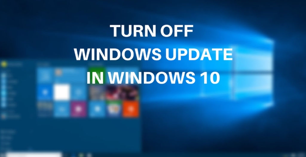Disable the Auto Windows Update Service