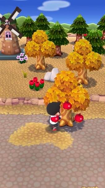 Animal Crossing: Pocket Camp Level Up