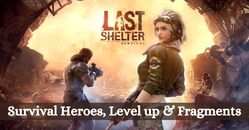 Last Shelter Survival Heroes, Level up and their Fragments