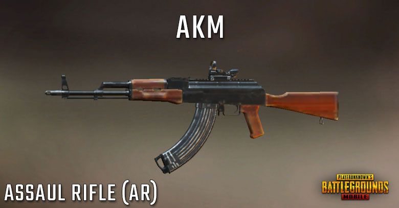 PUBG Tier List AKM