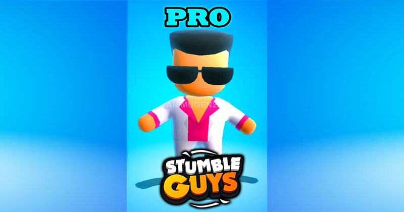 HACKERS VS PRO in Stumble Guys