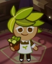 Cookie Run Kingdom Mise à jour de la Tier-List 2022 : Meilleures équipes et cookies (Juin)