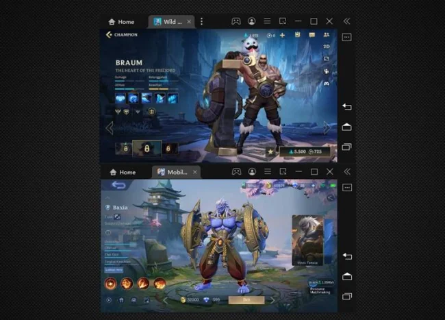 HERO DAN SKIN MOBILE LEGEND NYONTEK LEAGUE OF LEGENDS WILD RIFT