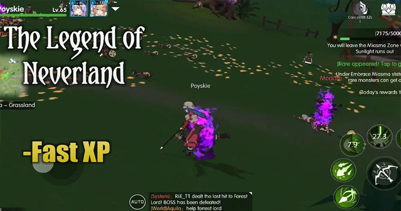Panduan Detail Peralatan The Legend of Neverland Cara Naik Level dengan Cepat