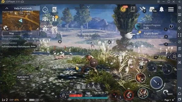 tips naik level di black desert mobile