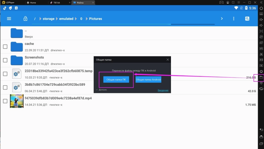 Как скачать видео с Тик Ток на LDPlayer/сохранить видео с Тик Ток на ПК