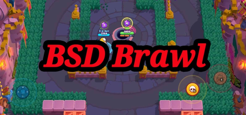 Играть в BSD Brawl бесплатно на ПК