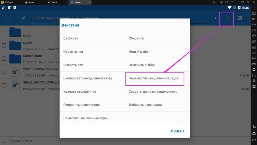 Как скачать видео с Тик Ток на LDPlayer/сохранить видео с Тик Ток на ПК