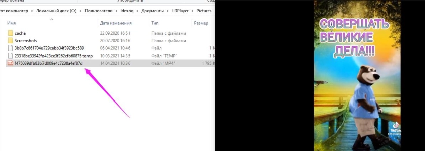 Как скачать видео с Тик Ток на LDPlayer/сохранить видео с Тик Ток на ПК
