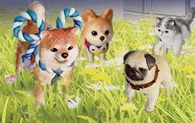 《龍族幻想》推出全新身分育寵達人 超萌毛孩等你認養 賀歲迎春 歡慶牛年登入拿豪禮