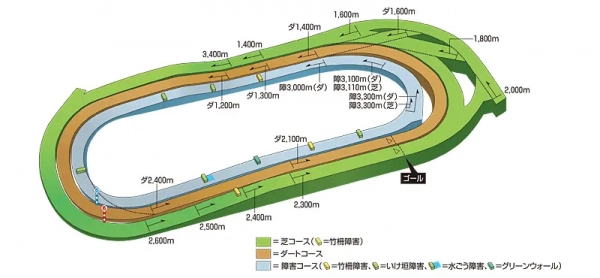 【攻略】《賽馬娘Pretty Derby	》新人培育小技巧