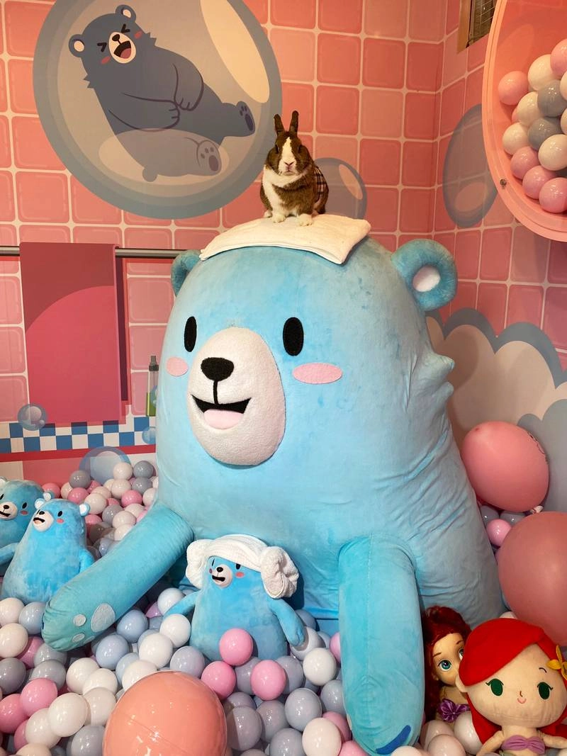 超強卡司巨星演唱會,熊寶領頭嗨唱耶誕城! 單天銷售破百隻的夢幻逸品讓你非帶不可!