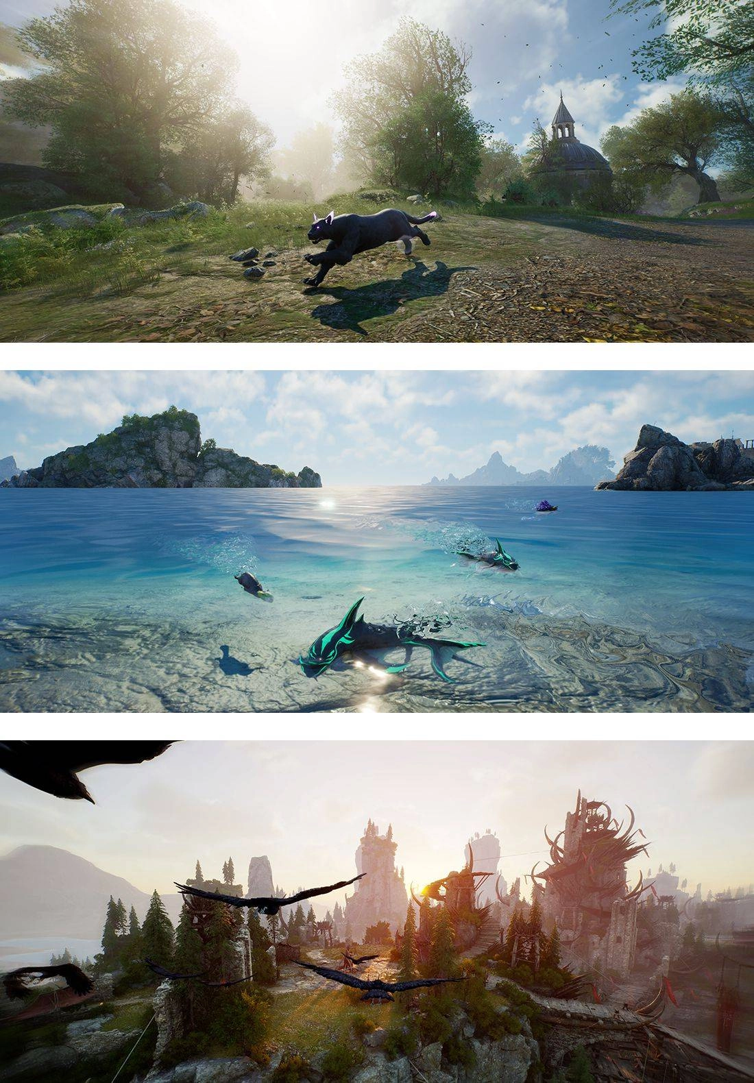 NC新原創IP《Throne and Liberty》的生動世界