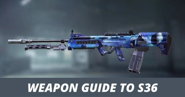 A quick, comprehensive weapon guide to S36