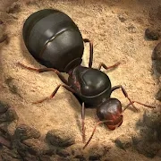 【活動】 《小小蟻國》 雷電獨家禮包 虛寶兌換碼序號