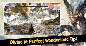 Divine W: Perfect Wonderland Tips for a Better Gameplay