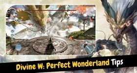 Divine W: Perfect Wonderland Tips for a Better Gameplay
