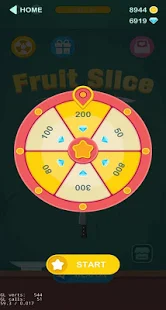 Fruit Slice Master