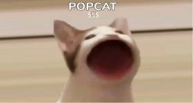 วิธีเล่น PopCat แบบคลิกอัตโนมัติบน PC